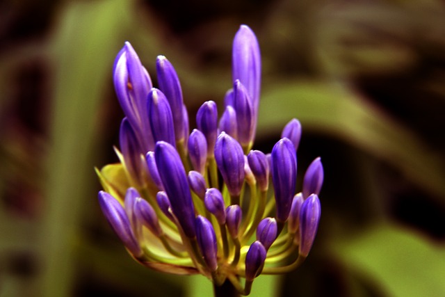 徐昕：广州队的战术能减少我体能的消耗，我一直都会策应